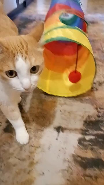 19 апреля 2026 г.