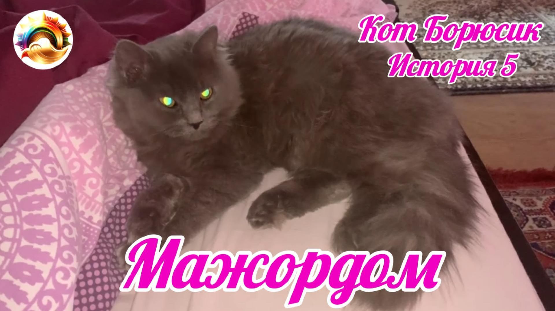 Кот Борюсик История 5. Мажордом