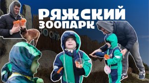 РЯЖСКИЙ ЗООПАРК /  КОРМИМ ЖИВОТНЫХ / ЖИВОТНЫЕ / ВИДЕО ДЛЯ ДЕТЕЙ / ДЕТСКОЕ ВИДЕО / ЛЕВЫ / ТИГРЫ