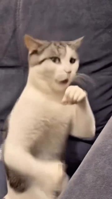 Лайк если было #морозовы #юмор #memes