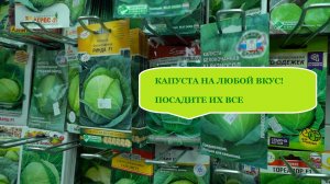 Посадите такую капусту. На все вкусы и случаи жизни. Большой обзор разновидностей капусты