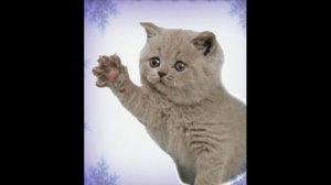 Детские песни.Драка