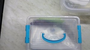 Переработка грибов