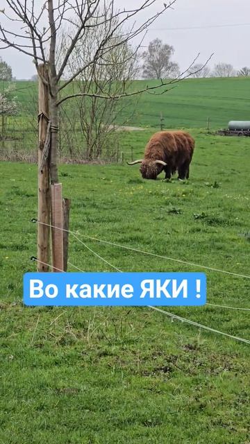 18 апреля 2026 г.