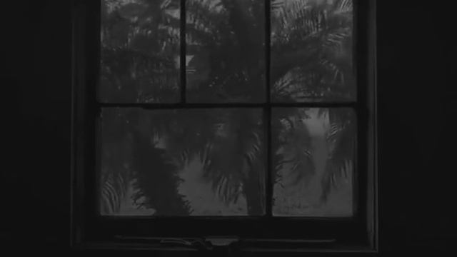 самый нежный нашид 😌✨❤