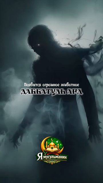 Большие признаки приближения конца света! #хадис #суроожооп #quran #коран