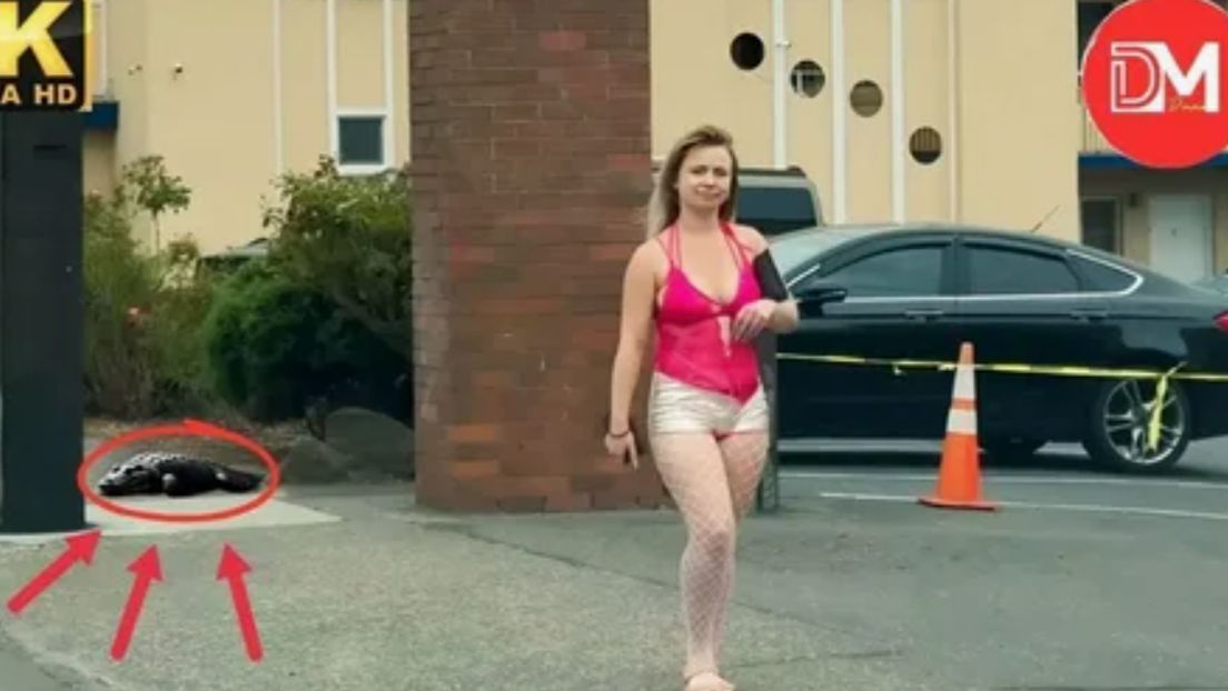 Лучшие Провалы Идиотов на Работе