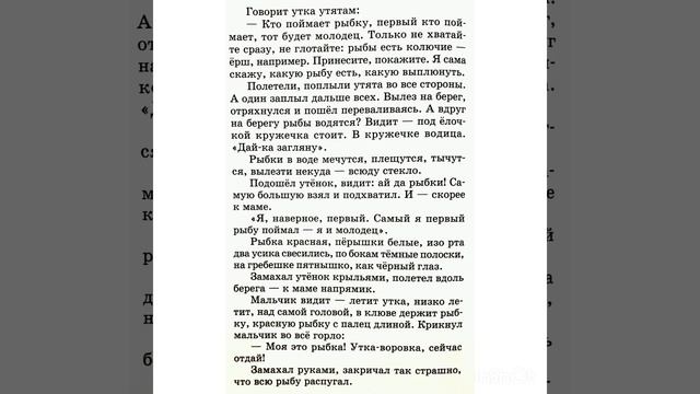 Кружечка под ёлочкой.
Б.С.Житков