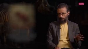 Как эволюция мозга связана с питанием. Дробышевский