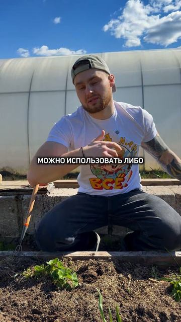 🍓 Что сделать с клубникой в середине–конце апреля