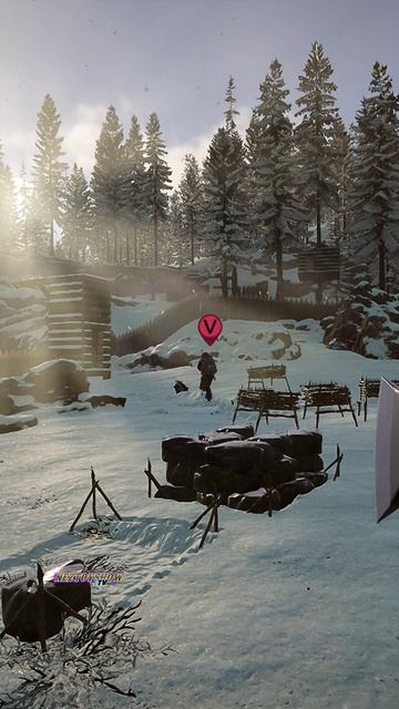 Funny Moment #shorts #sonsoftheforest #survivalgame #coopgaming #theforest