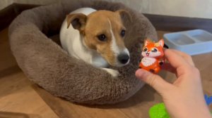 Обзор игрушек со Скай