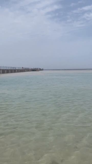 пляж отеля в Хургаде Albatros Makadi