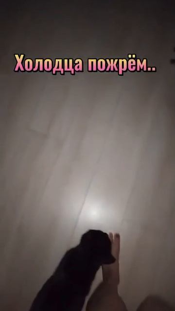 Ночной гимн