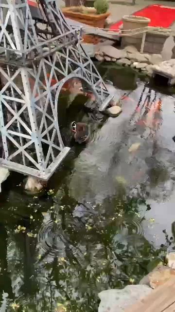 Жизнь Центра-музея Универсологии г.Одесса. Данна Сивко. МНШУ