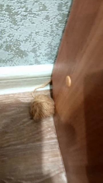 Для хорошего настроения! Кошки-мышки-игрушки