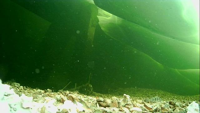 1000013440.mp4Волга гл.2м.21.04.2026г.