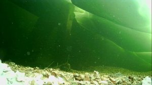 1000013440.mp4Волга гл.2м.21.04.2026г.