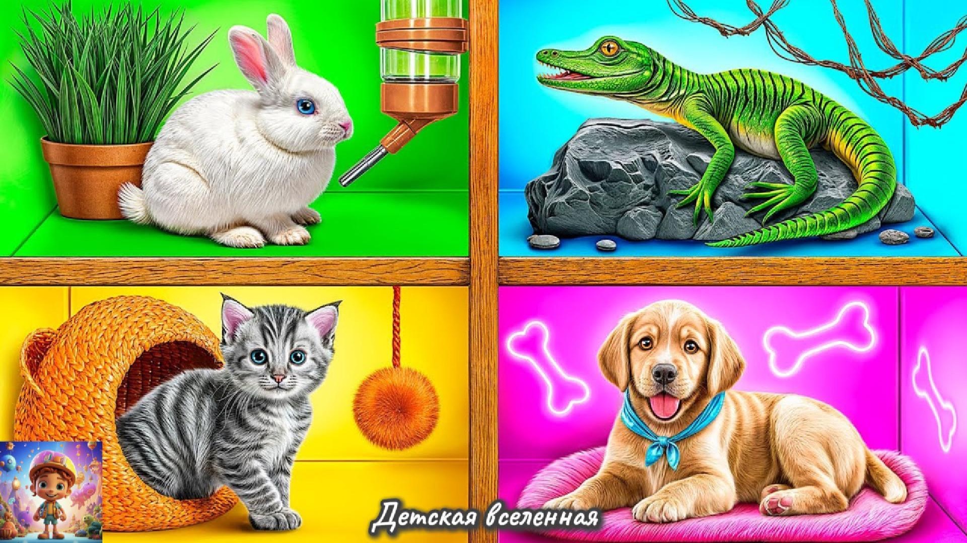 СТРОИМ ДОМИКИ ДЛЯ СВОИХ ЛЮБИМЫХ ПИТОМЦЕВ / ДОМИКИ ДЛЯ ЖИВОТНЫХ / ДЕТСКАЯ ВСЕЛЕННАЯ