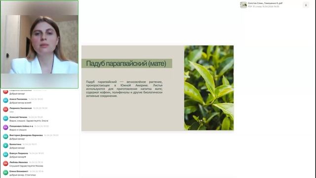 Солстик Слим NSP — снижение веса, память, работа мозга, концентрация внимания, антиоксидант