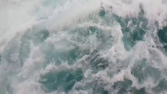 Мишки и Пароход. Видео.