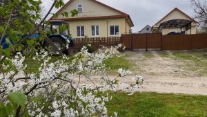 Мои 28 соток счастья: Жизнь в Краснодарском крае | Томаты подвязаны, перцы высажены