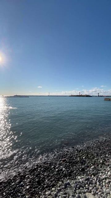 Зимние купания в Сочи