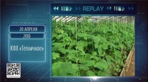 Replay 20 апреля 2026