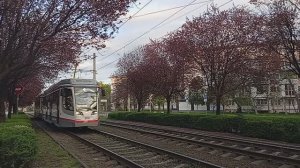 Самая красивая трамвайная линия России!