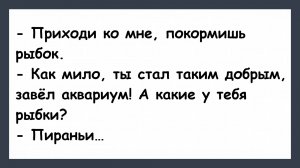 Приходи ко мне, рыбок кормить! Анекдоты для хорошего настроения! Шутки! Приколы! Юмор про жизнь!