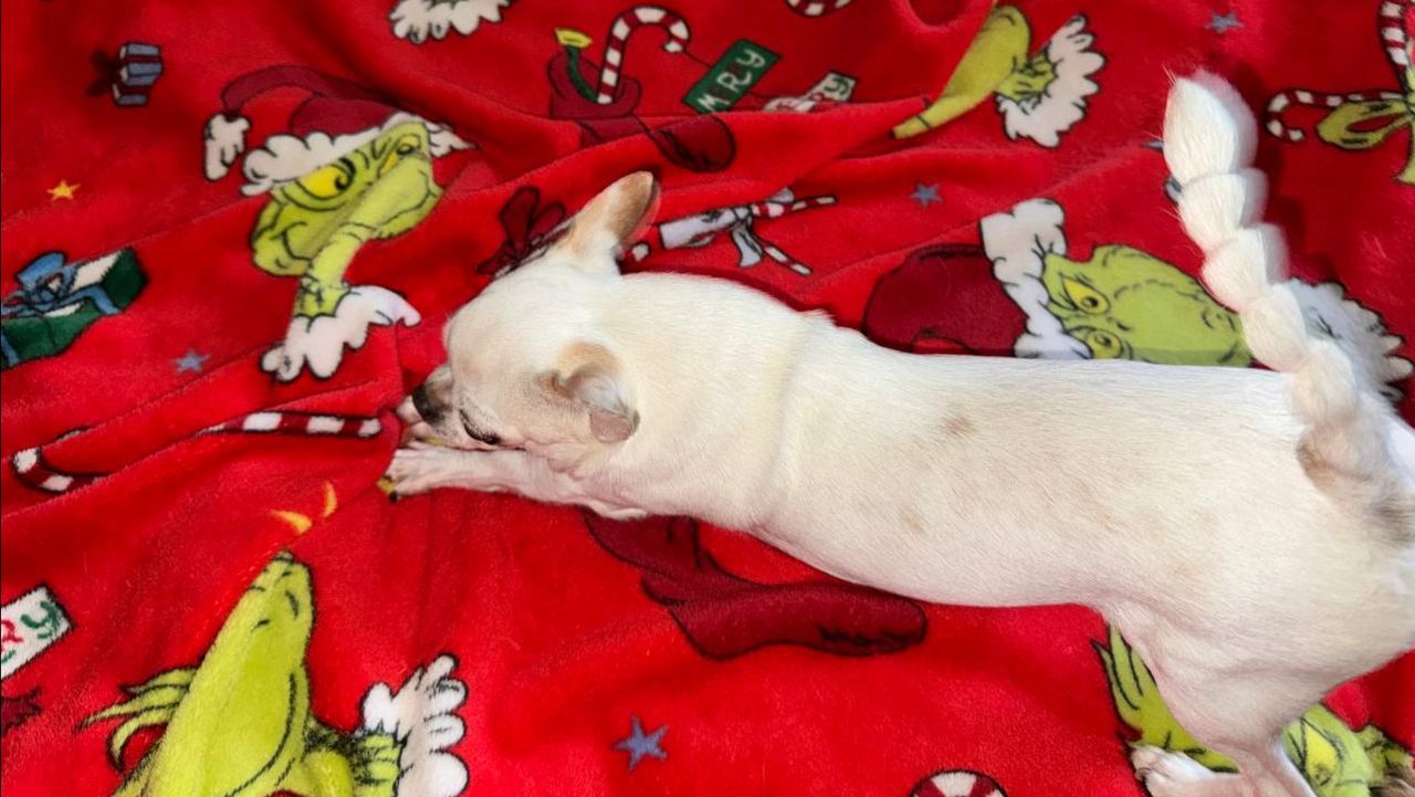 Всем наидобрейшего утречка и чудесного начала дня!