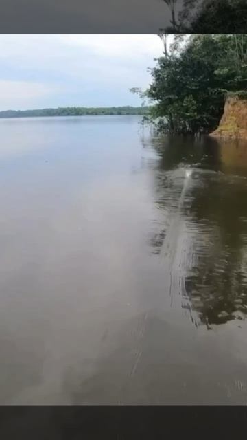 Утренняя мощная поклёвка!