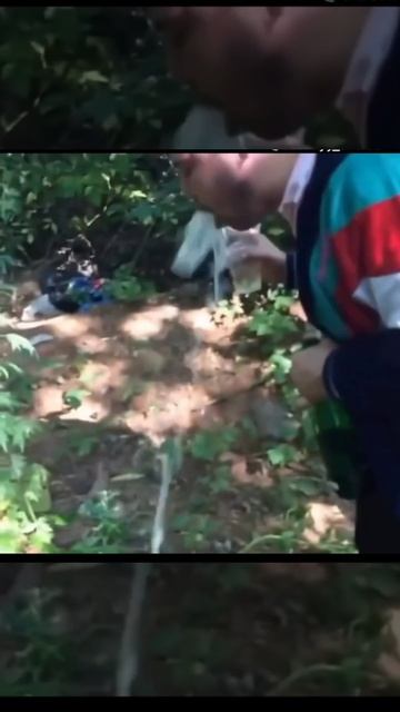 Вермут и такая история