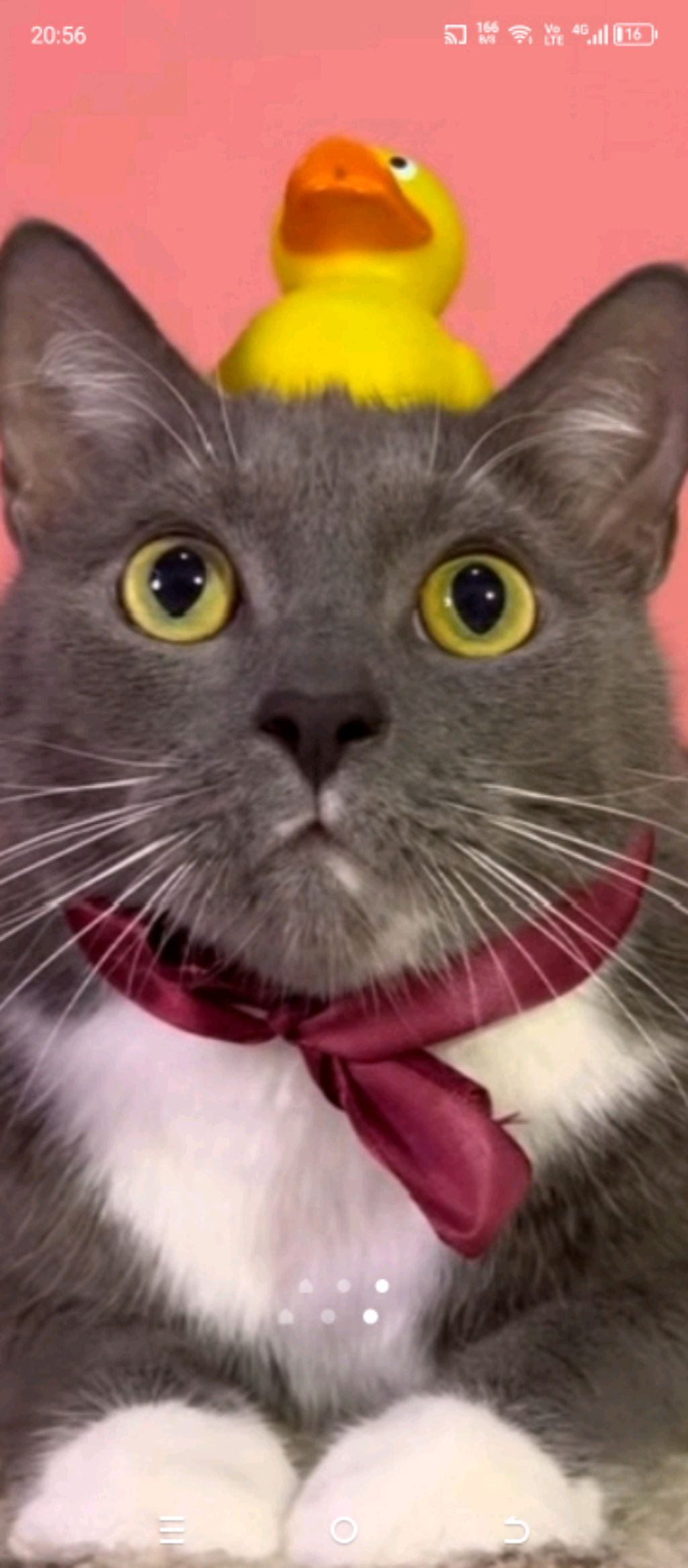 первый стрим