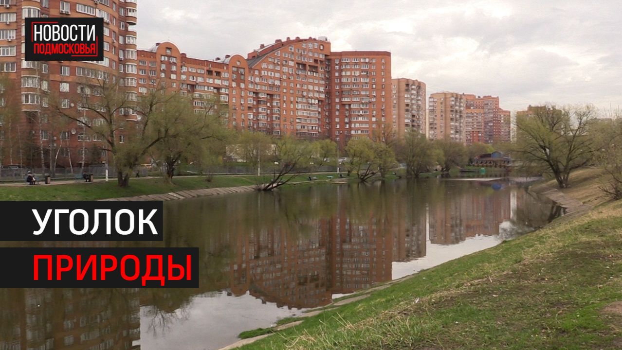 Барашкинский пруд в Химках преобразится // 360 ХИМКИ