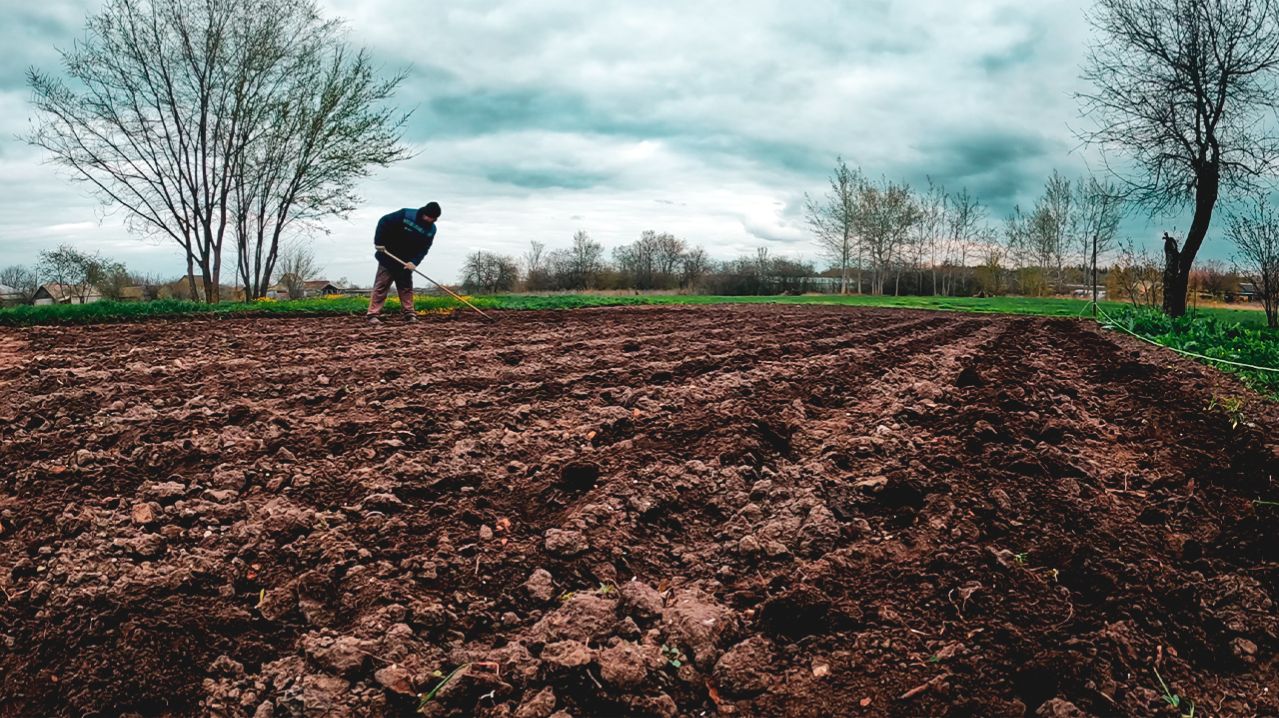 Картошка в землю, трава в покос