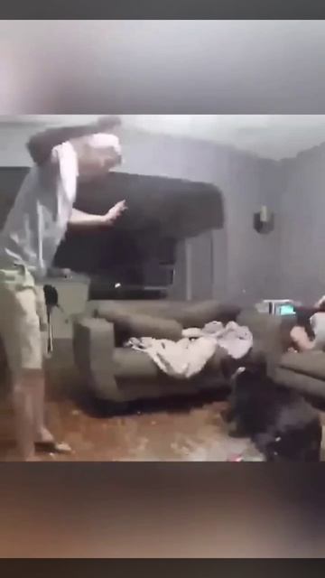 Заведи себе собаку👍👍👍