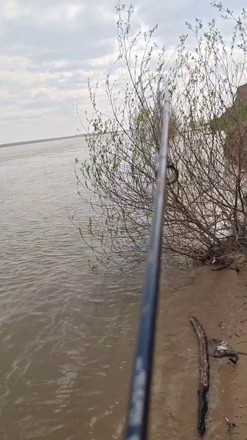 #на рыбалке