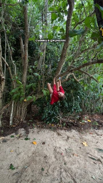 Съемки в джунглях 🌳