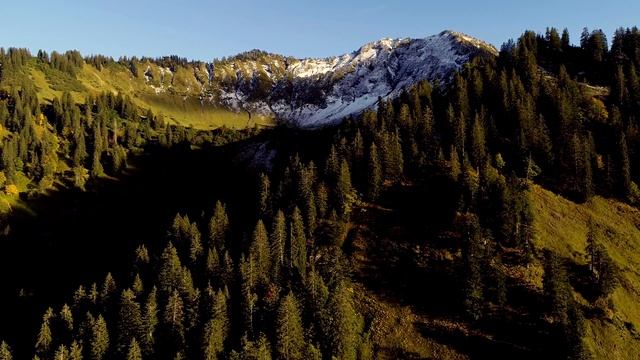 Звуки природы: дыхание гармонии #8