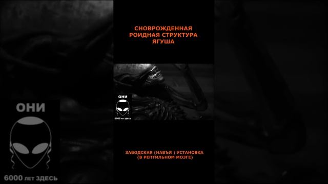 НОСИТЕЛЬНИЦАМ МАТИЛЬДЫ ПРОдолжение