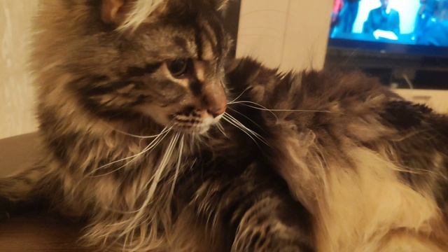 Щекастик мой 😍😘