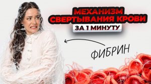 Механизм свертывания крови | Гемостаз | Биология ЕГЭ | Умскул