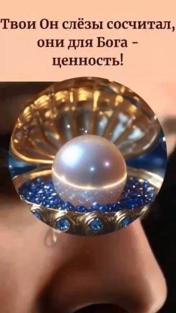 VID_20260421_155654_529.mp4