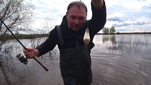 Эти БЛЁСНЫ любит ЩУКА! Рыбалка на спиннинг с берега!