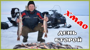 Рыбалка на крупного окуня. Хмао.