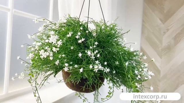 Искусственные цветы в горшке ВОЗДУШНОЕ ОБАЯНИЕ, белые, 43 см, 5010086