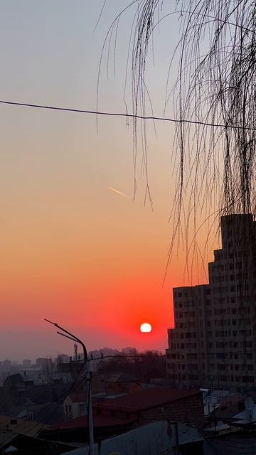 В гармонии с природой #4