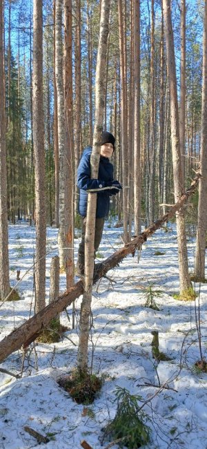 мои школьные истории (мой канал rush royale+ видосики)