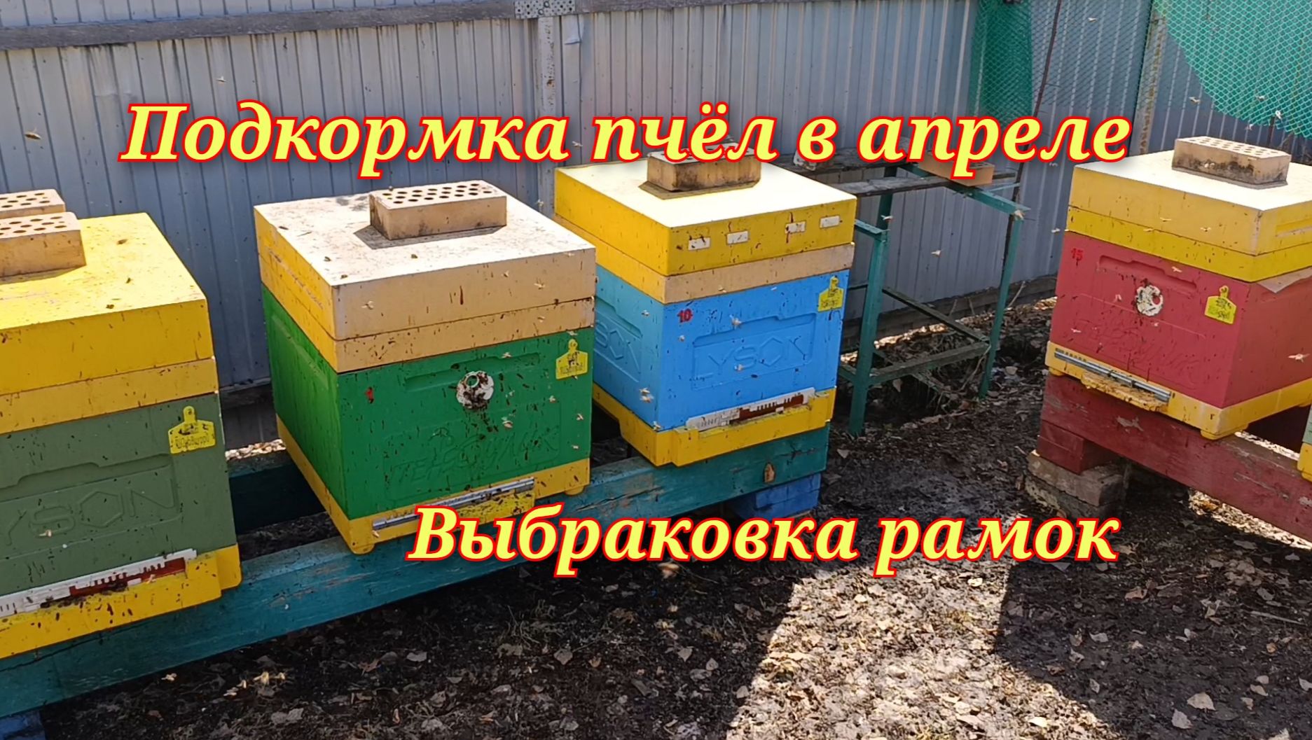 Подкормка пчёл в апреле. Выбраковка рамок.21.04.2026г.
